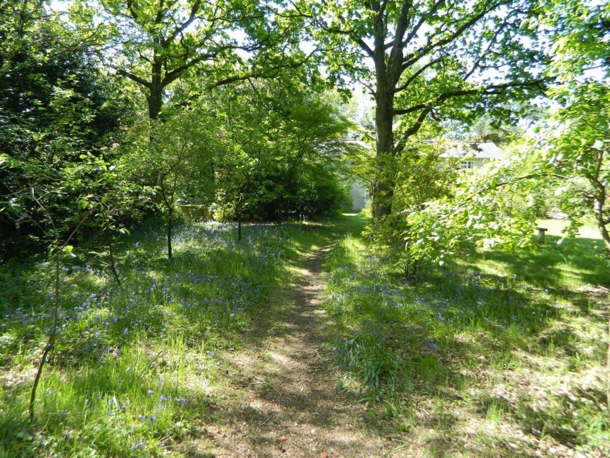 River Cottage A Country Retreat In Wooded Gardens East Stoke  Exteriér fotografie