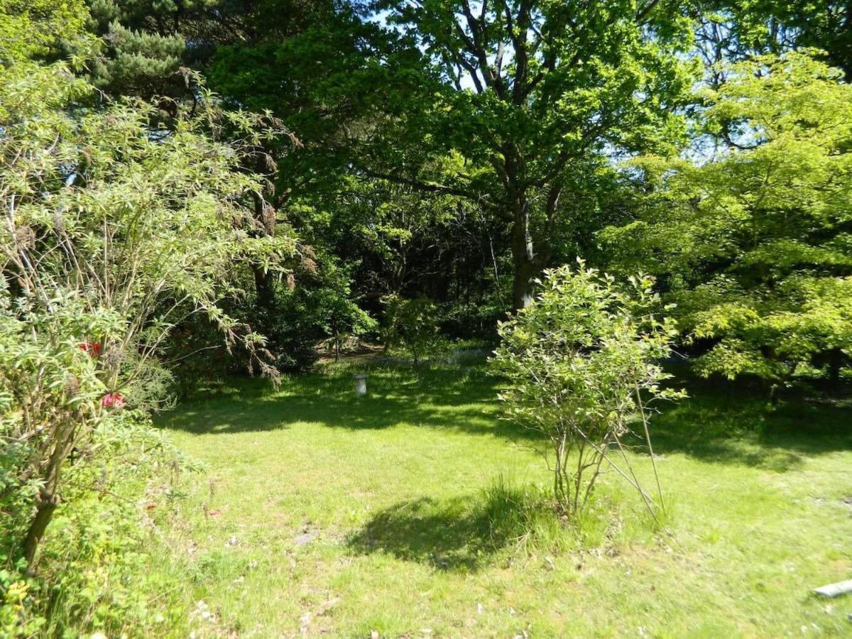 River Cottage A Country Retreat In Wooded Gardens East Stoke  Exteriér fotografie