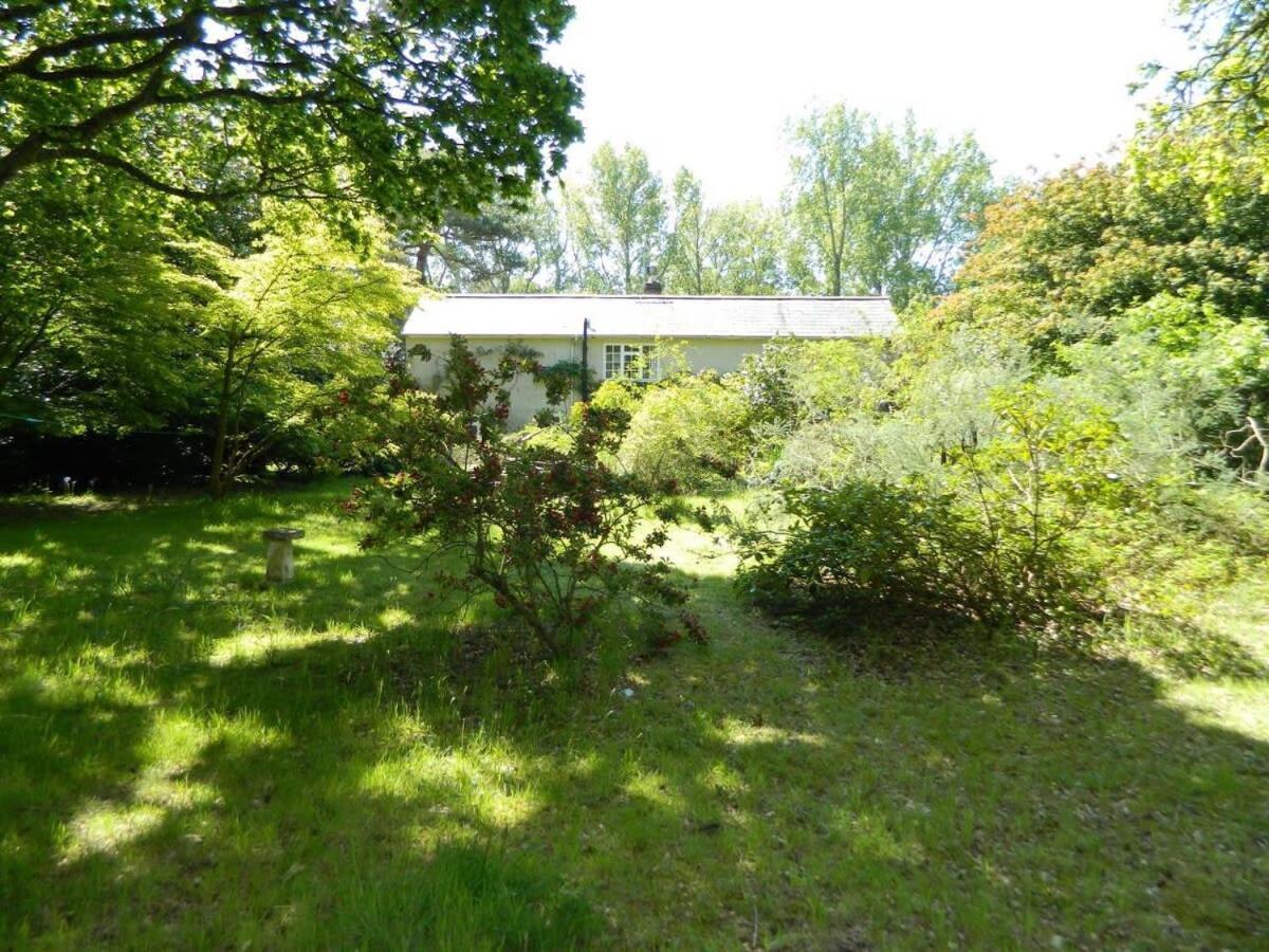 River Cottage A Country Retreat In Wooded Gardens East Stoke  Exteriér fotografie