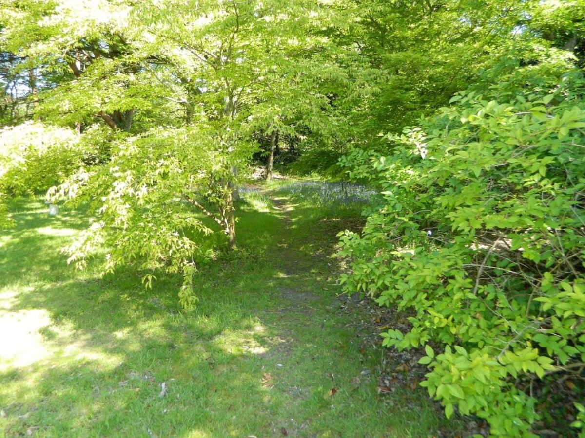 River Cottage A Country Retreat In Wooded Gardens East Stoke  Exteriér fotografie
