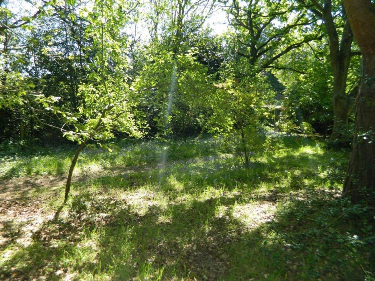 River Cottage A Country Retreat In Wooded Gardens East Stoke  Exteriér fotografie